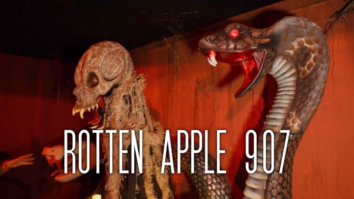 Rotten Apple 907 Burbank