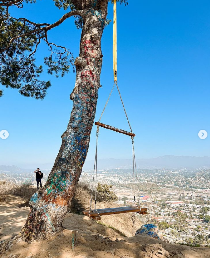 Secret Swing Elysian Park