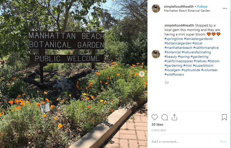 Manhattan Beach Botanical Gardens