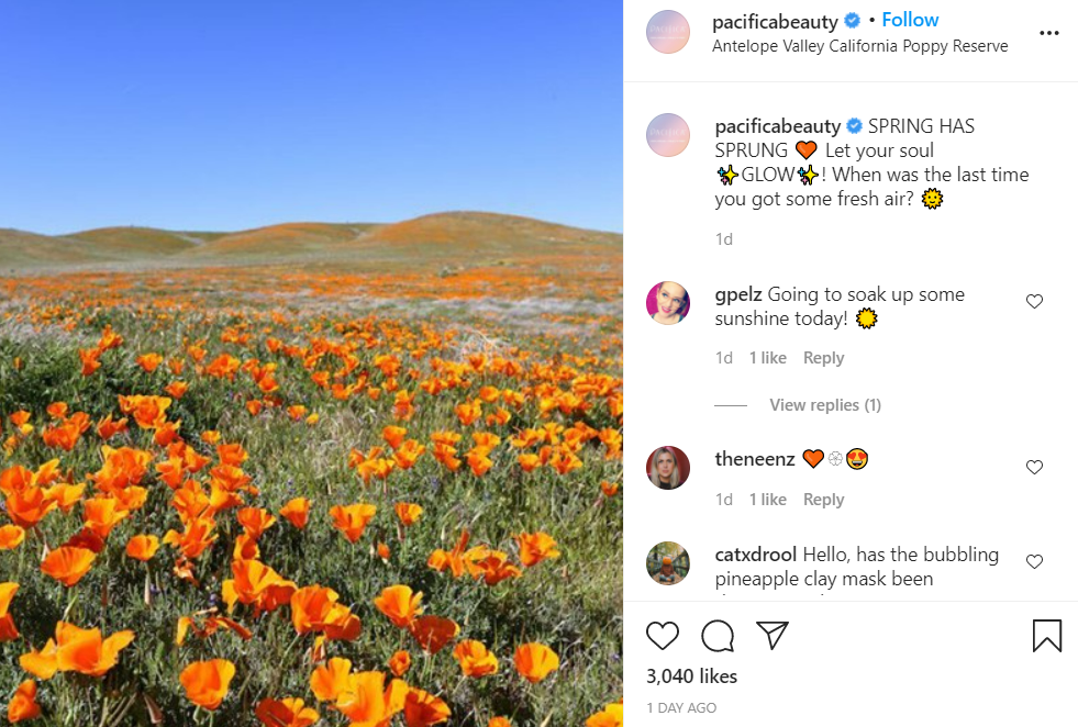 Antelope Valley Poppy Reserve