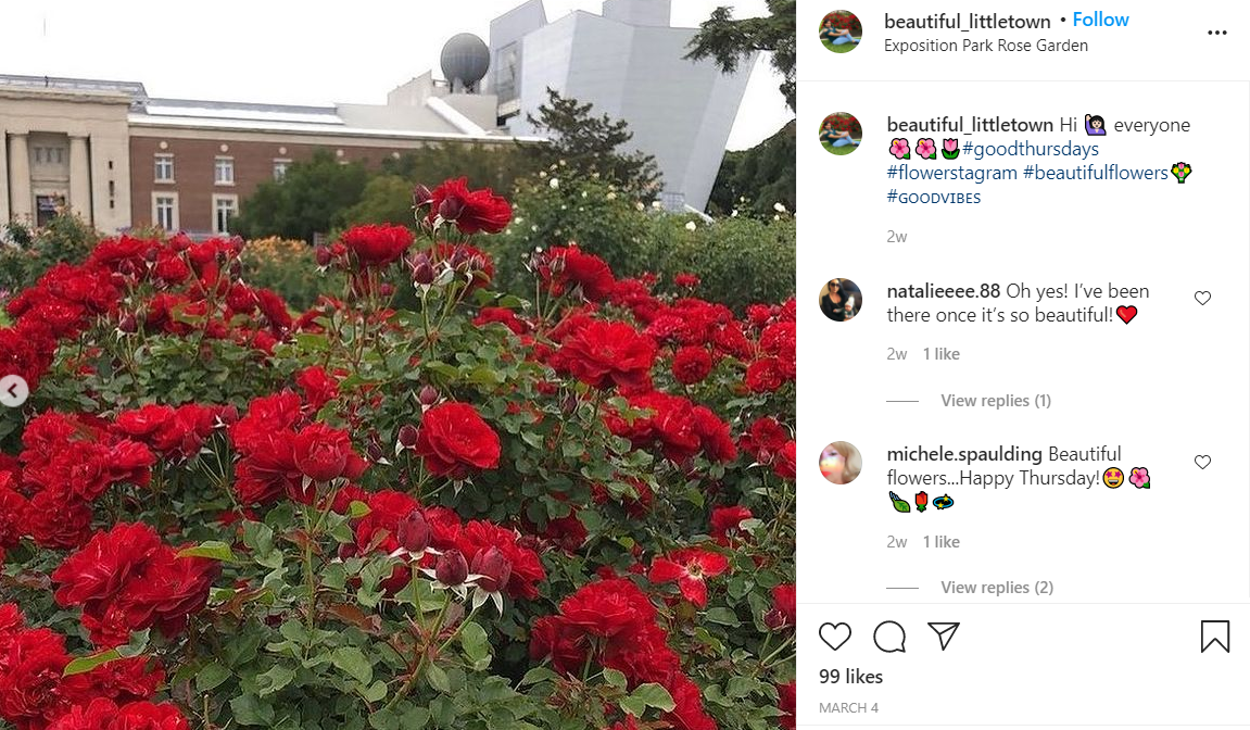 Exposition Park Rose Garden