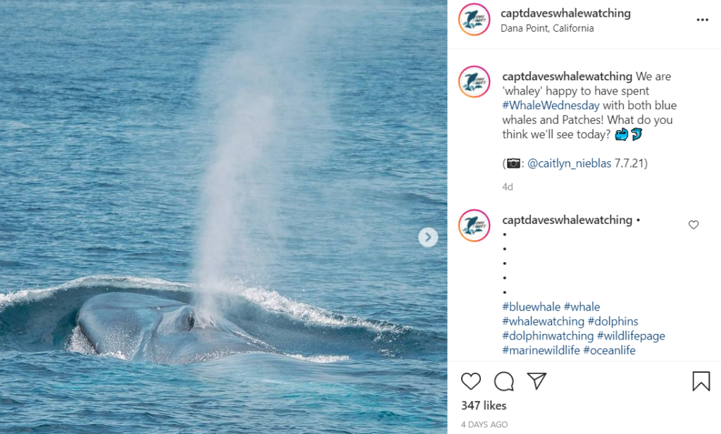 5 Unique Water Adventures in Southern California