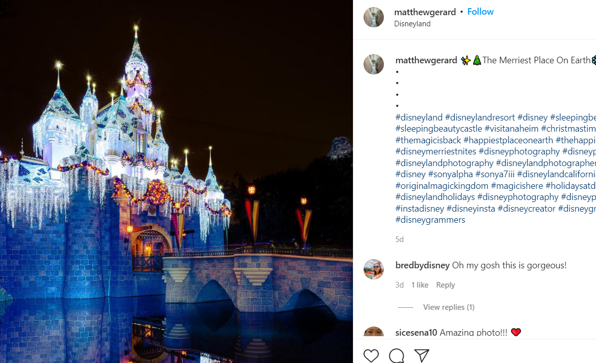 Sleeping Beauty Castle