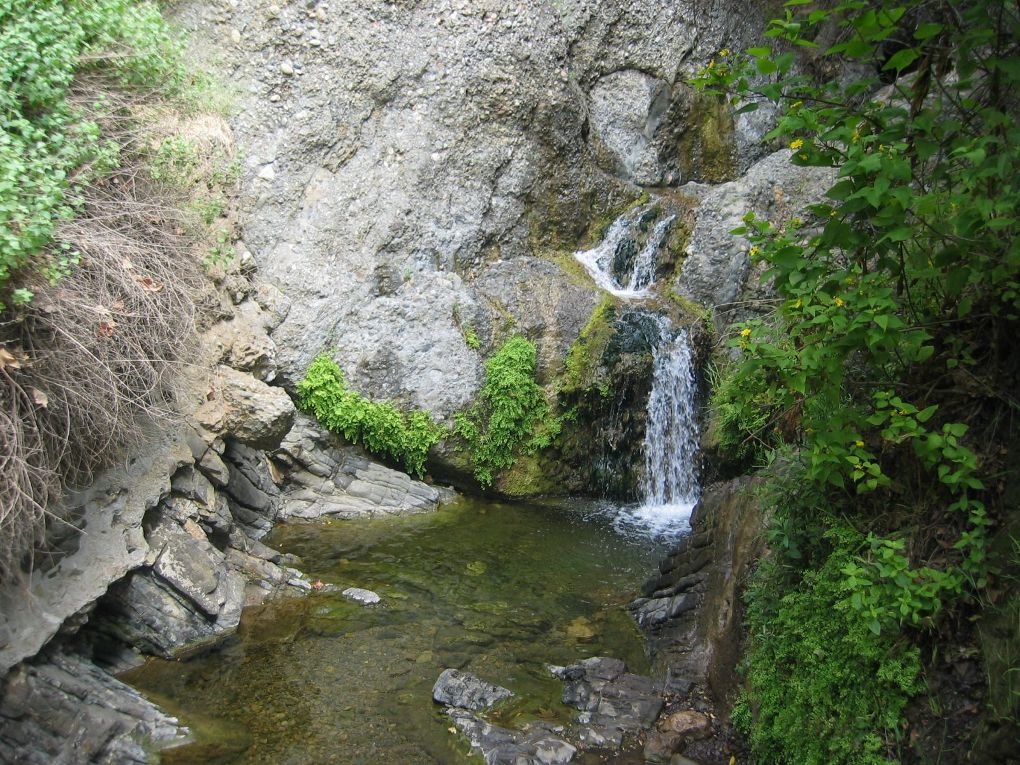 Topanga State Park