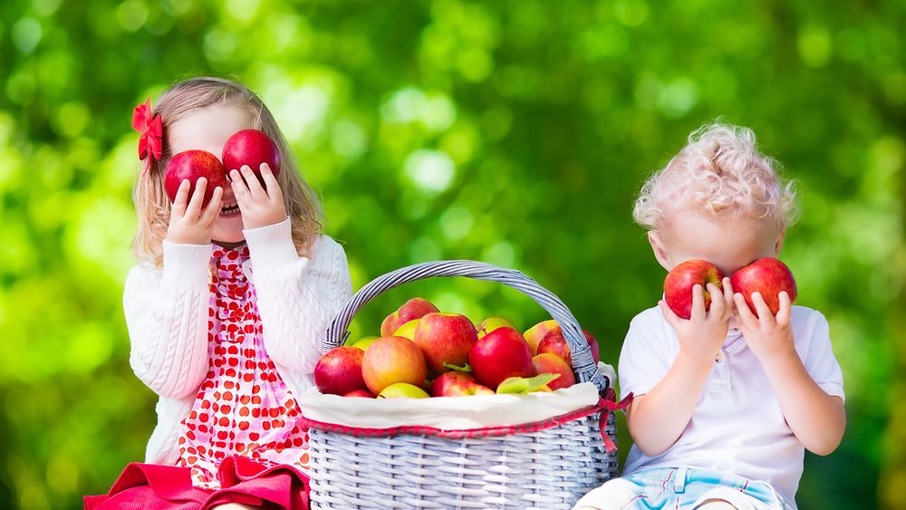 Apple Picking in LA