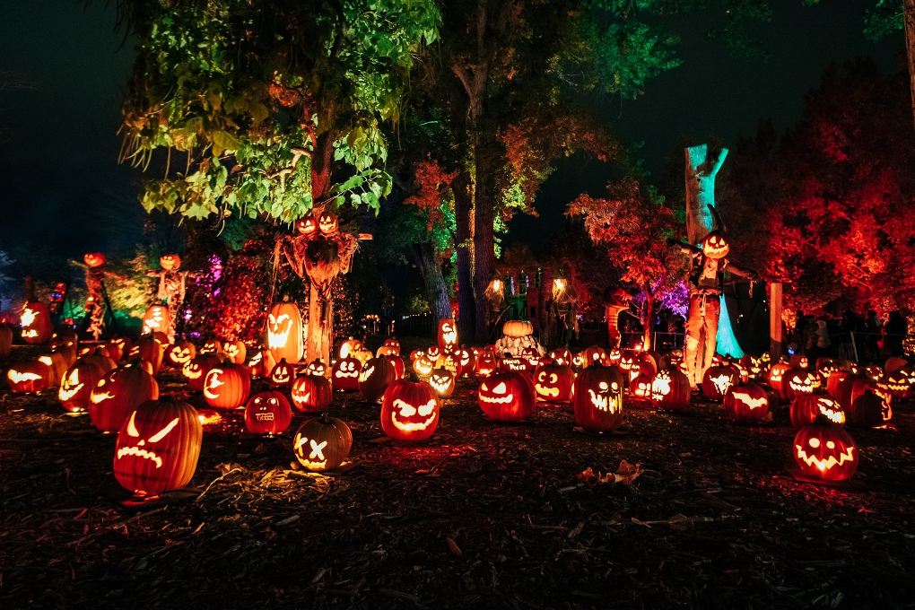 Magic of the Jack O' Lanterns