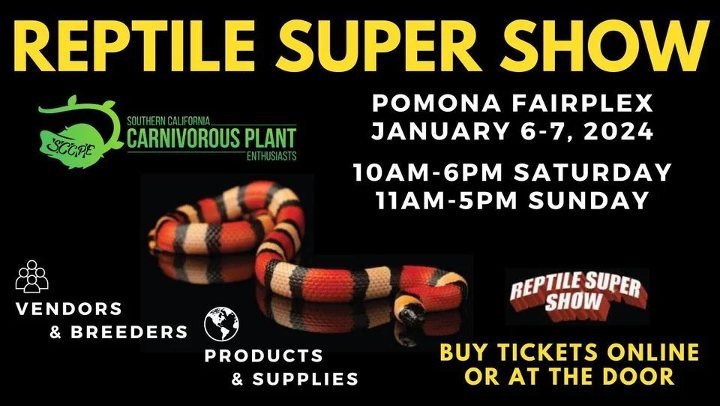 Reptile Super Show