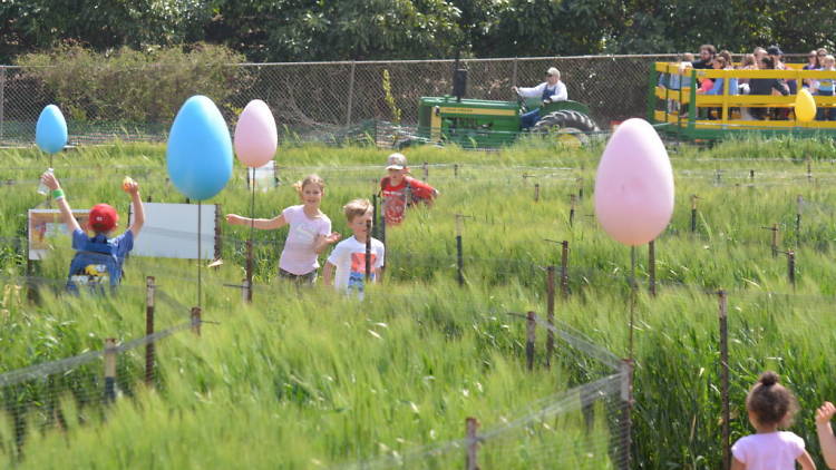 Underwood Family Farms