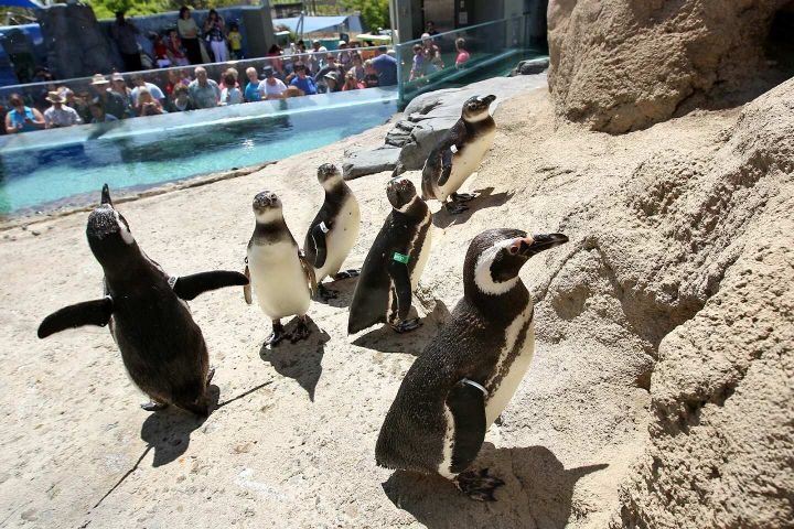 Aquarium of the Pacific