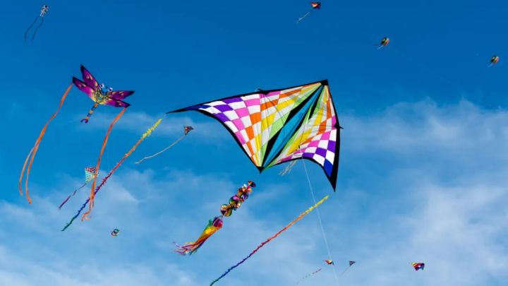LA Historic Park Kite Fest